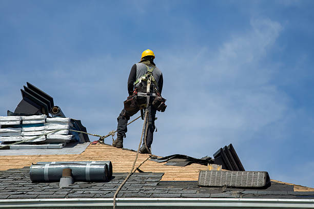 Professional Gutter Installation technician working in Rogersville, AL